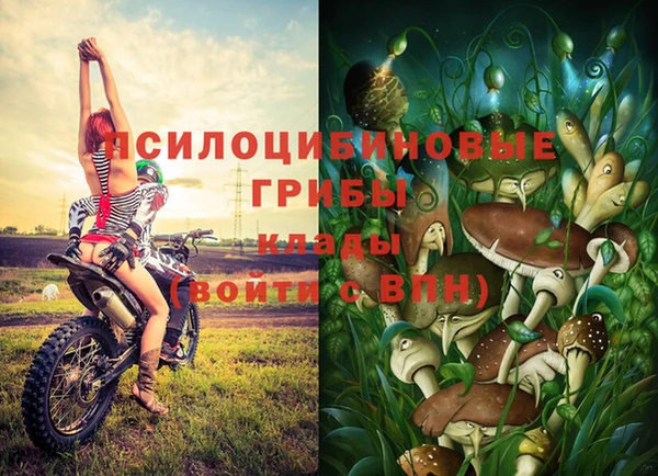 метадон Богородск