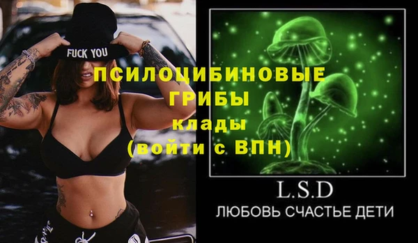 Альфа ПВП Верея