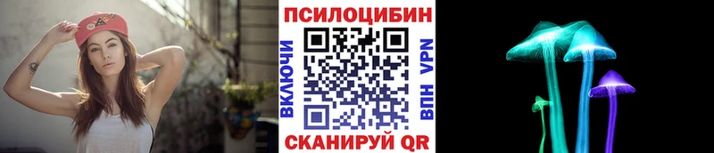 Псилоцибиновые грибы ЛСД  закладка  Зерноград 